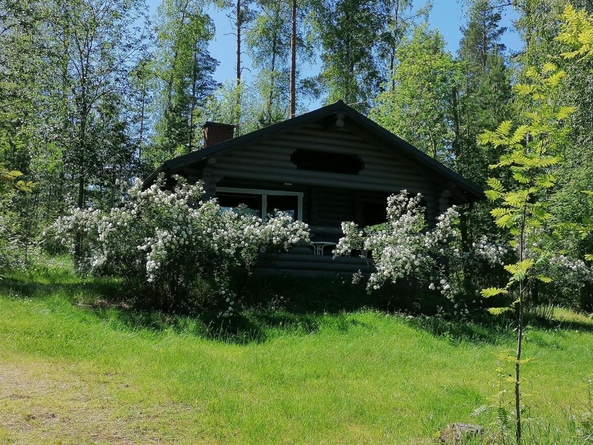Mansikkaniemen Lomakeskus Rantasalmi Esterno foto